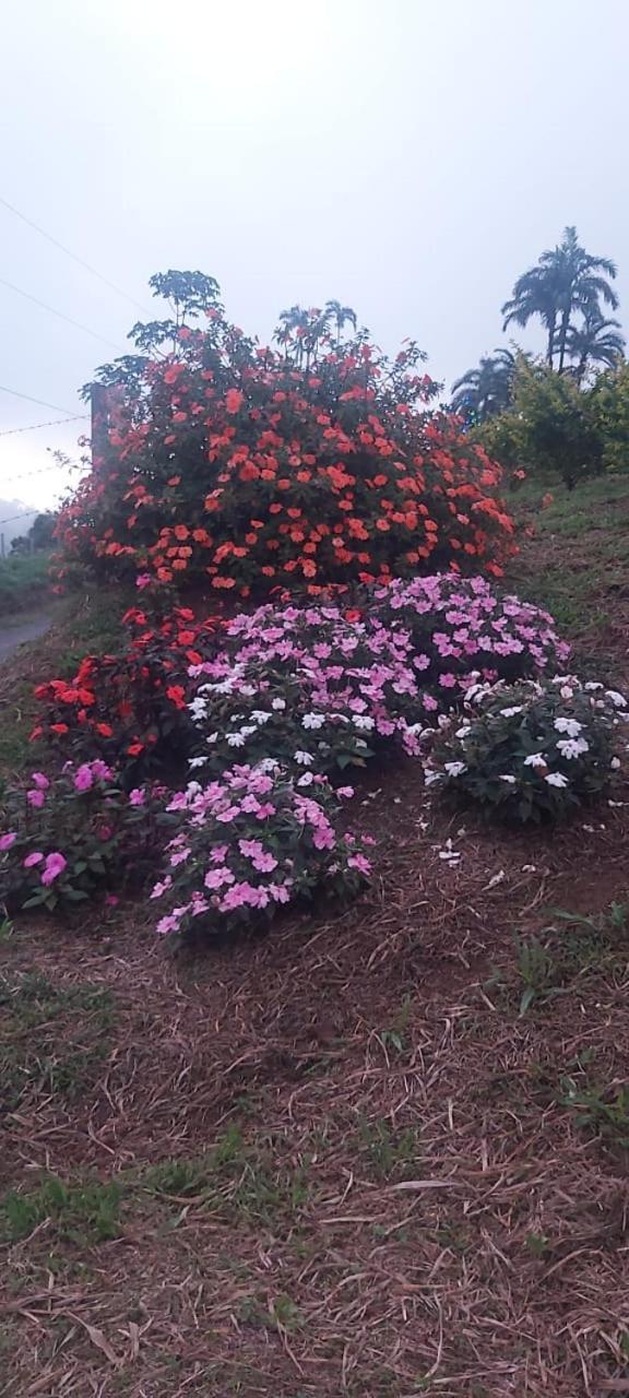 El Rincon De Las Flores Bajo Tigre Exterior foto