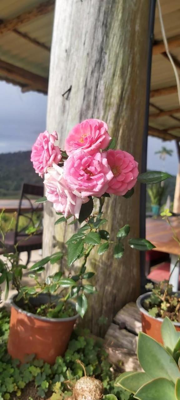 El Rincon De Las Flores Bajo Tigre Exterior foto